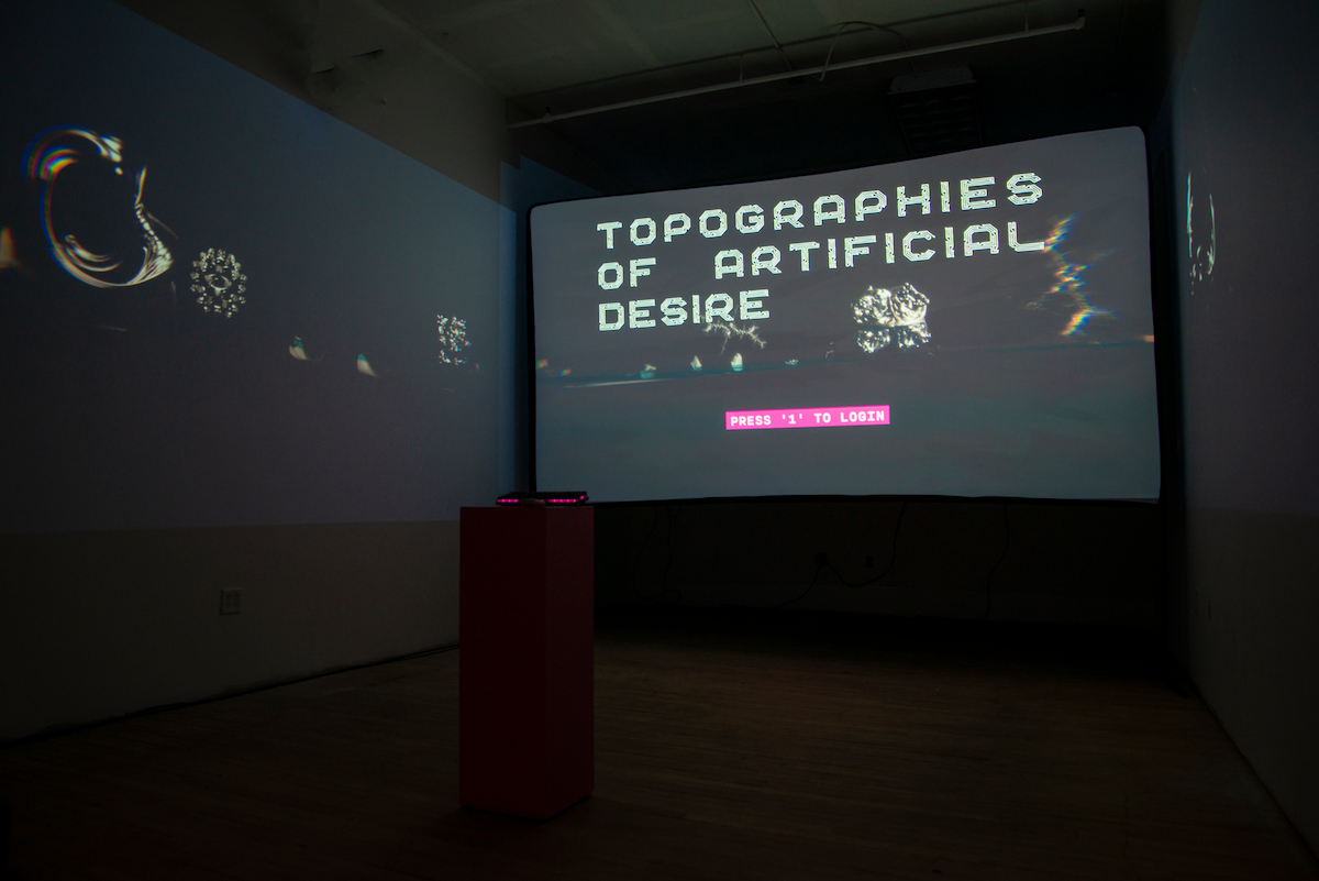 Topographies of Artificial Desire