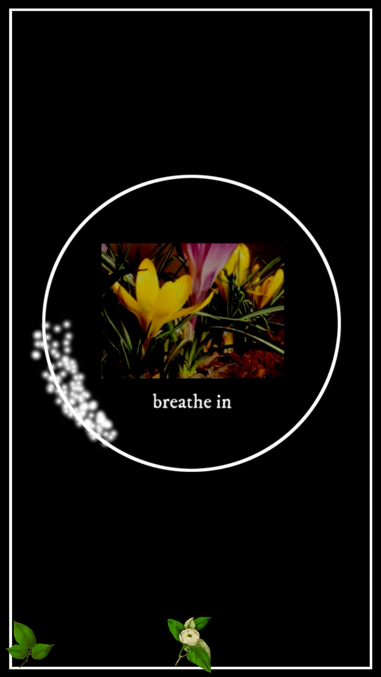 UnearthU screenshot