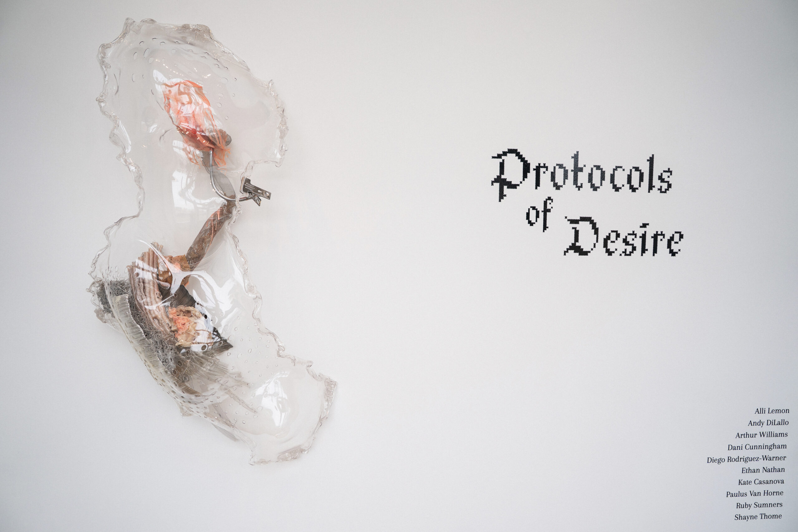 Topographies of Artificial Desire